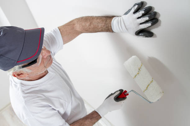 Best Basement Mold Removal  in Huntgburg, IN