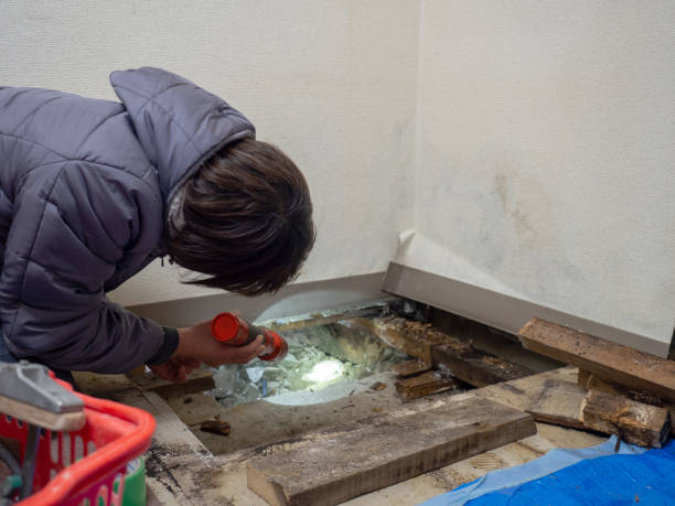 Best Post-Construction Mold Inspection  in Huntgburg, IN