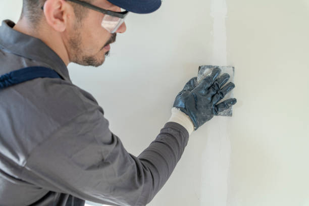 Professional Mold Removal in Huntingburg, IN
