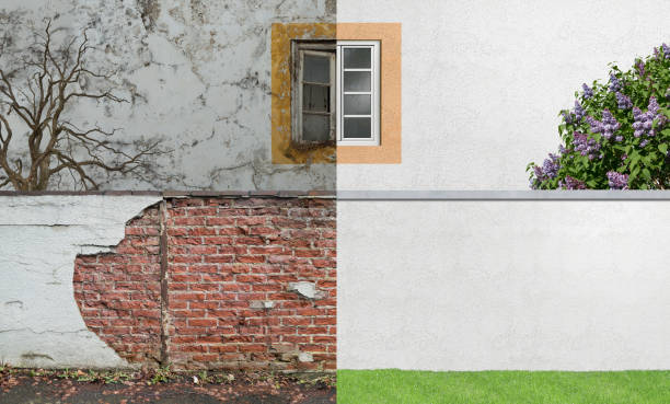  Huntgburg, IN Mold Removal Pros